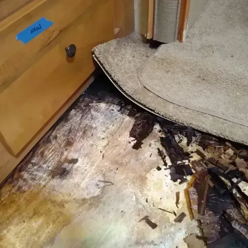 Wood Floor Water Damage in Sheridan, OR